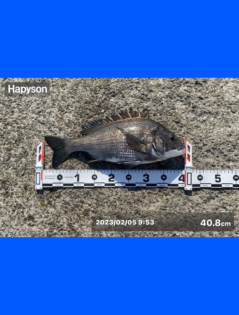 朝方は潮が低く