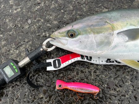 久しぶりのフィーーシュ!