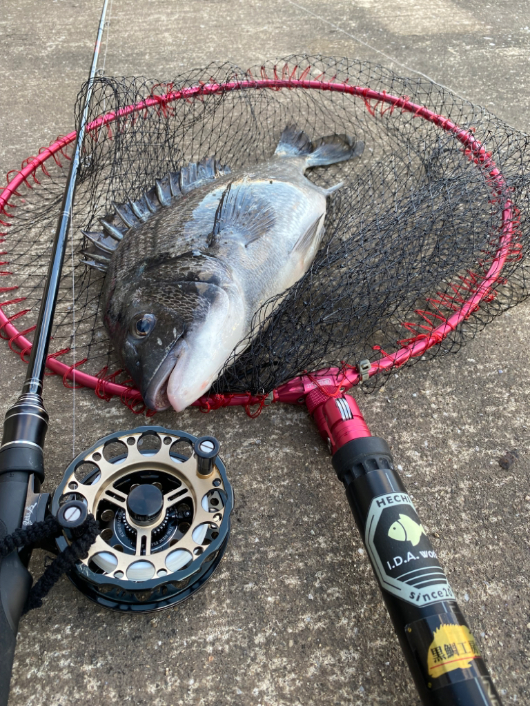 ヘチってきました