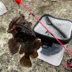 初めてのブラクリ