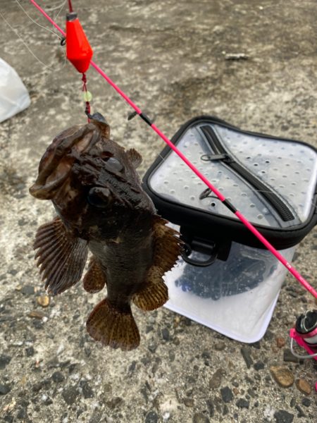 初めてのブラクリ