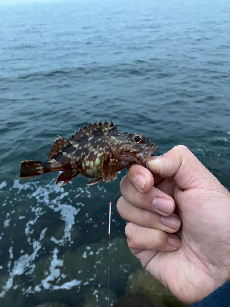 またまた穴釣り