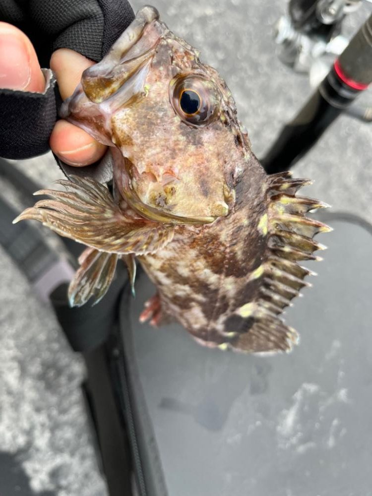 四日市ライトロック