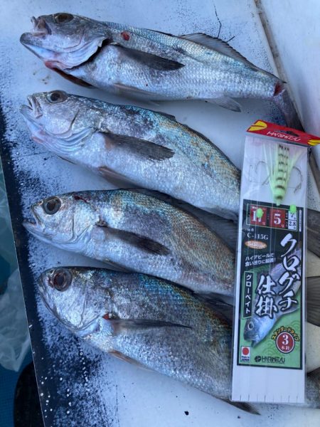 大阪湾クログチ