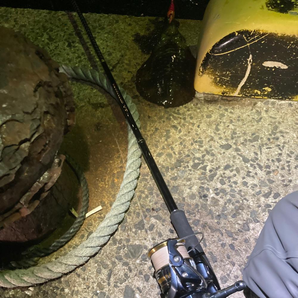 ヤリイカエギングin呼子