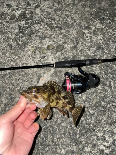 夕まずめ短時間ジグ単！