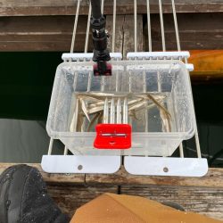 生野銀山湖ワカサギ 初魚探使用