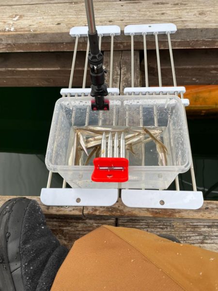 生野銀山湖ワカサギ 初魚探使用