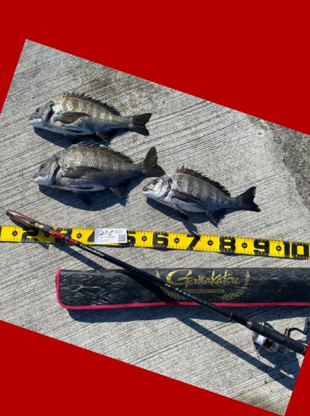 少し寒さもやわらぎ釣り日和。