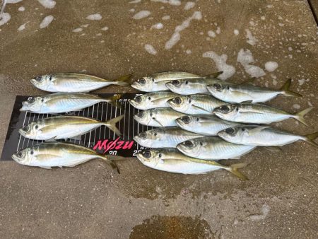 ボートアジング