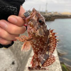 ロックフィッシュゲーム