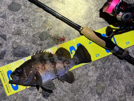 アフタースポーン メバリング