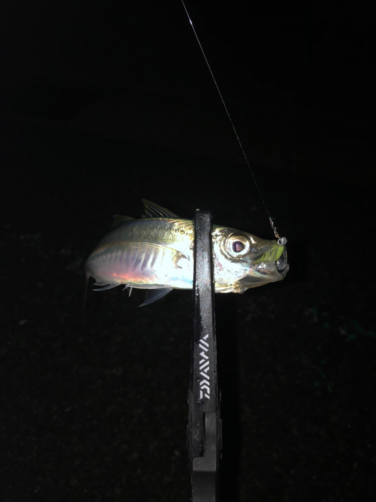 今年は成長が遅い？