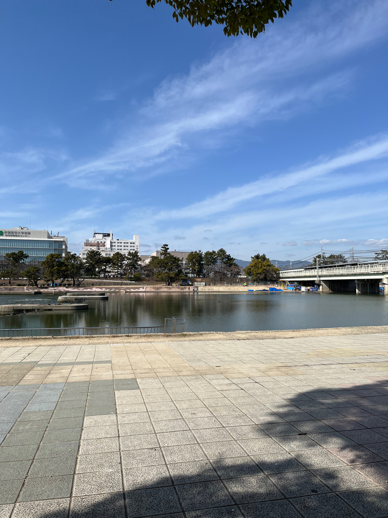 やっぱりチニング！