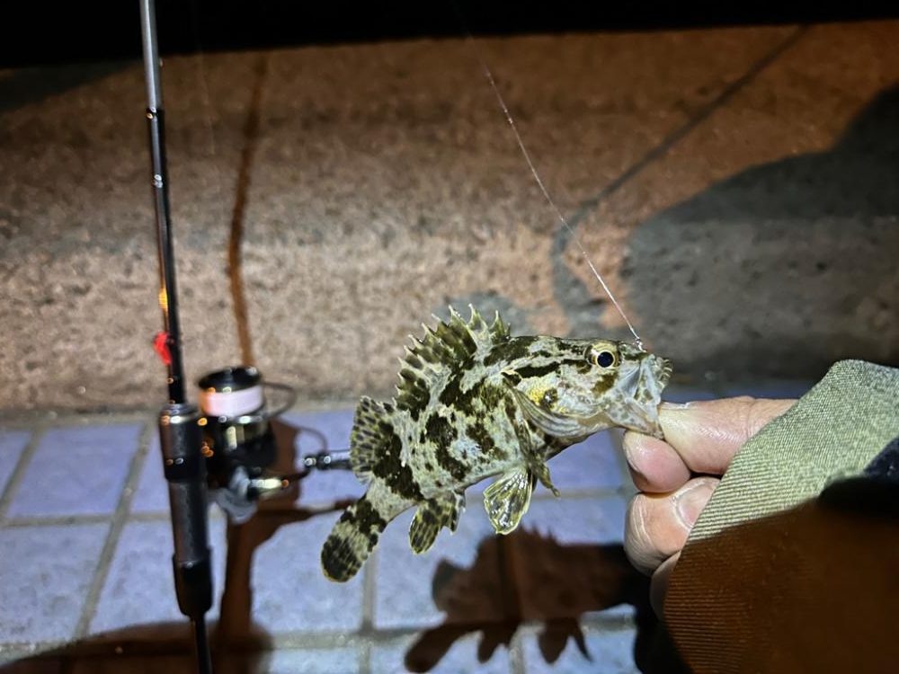 ひさびさの釣果