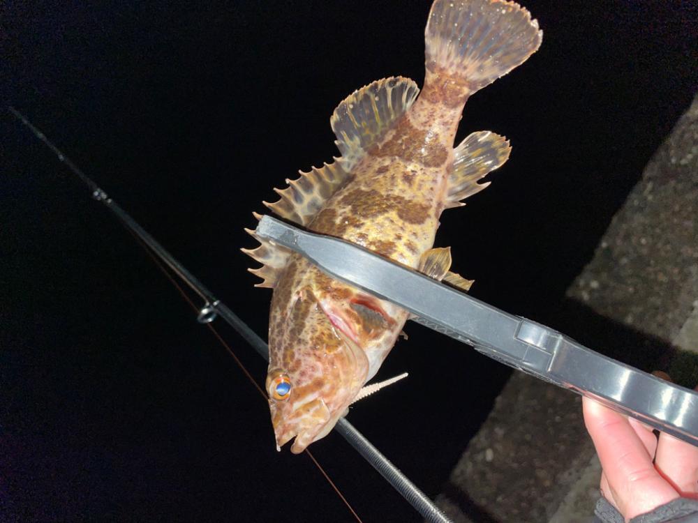 渋
