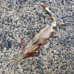 寒い雨と強風の中