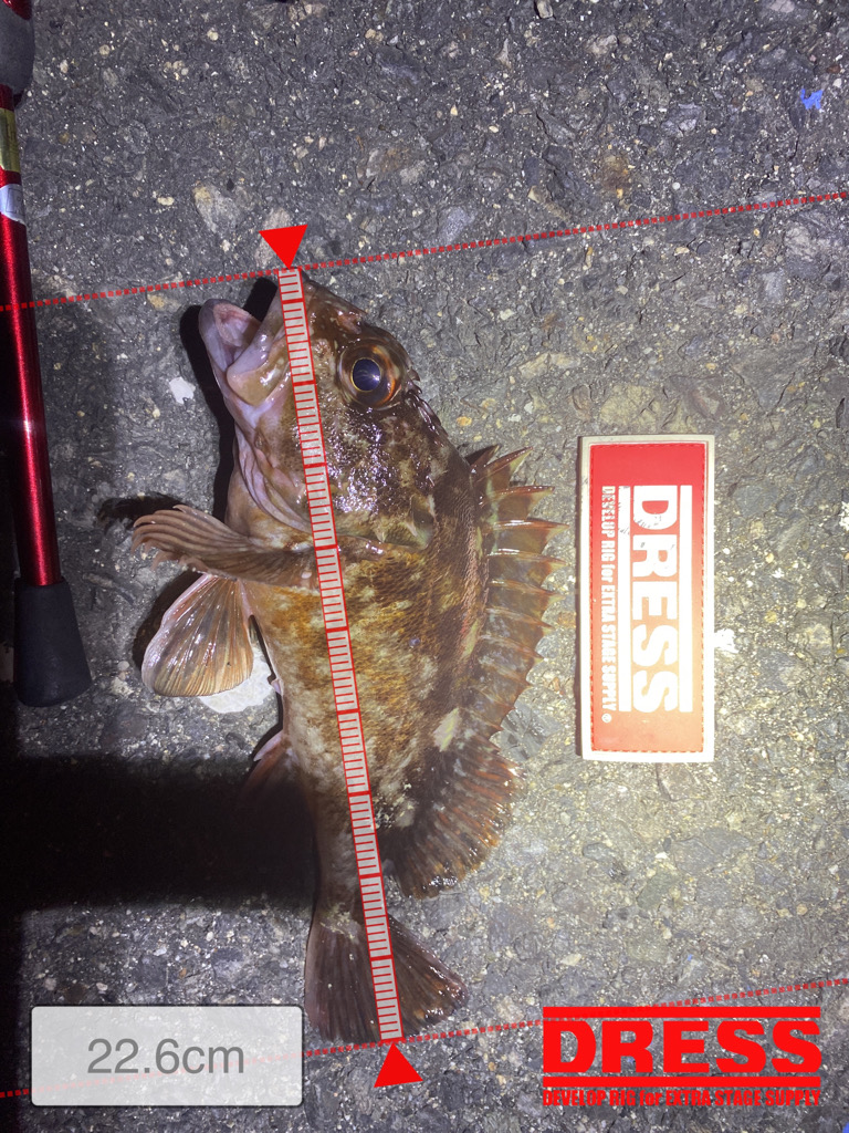 人も寒く釣果も寒く