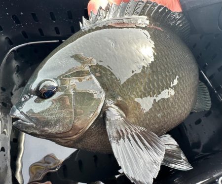 御五神フカセ釣行