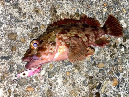 メタルキスゲームと呼ぶらしいにゃ