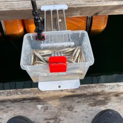 生野銀山湖にてワカサギ釣り