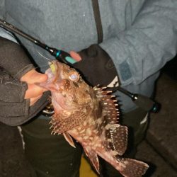 ライトゲームin呼子