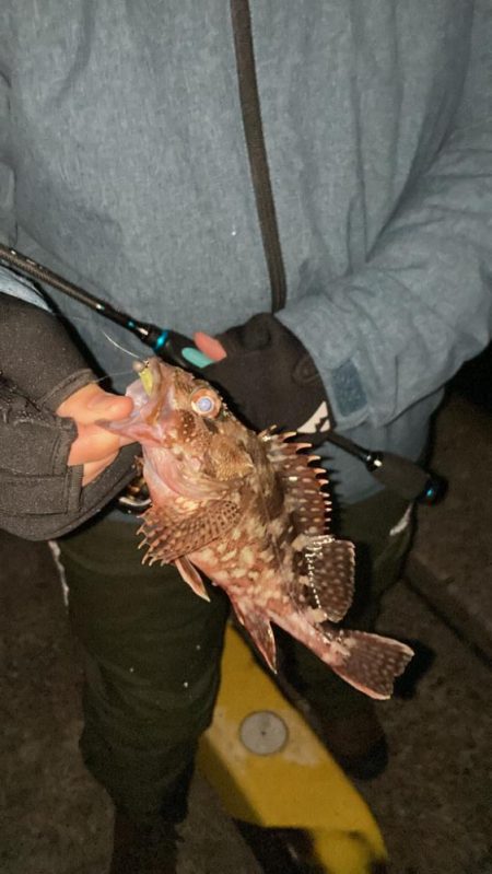 ライトゲームin呼子