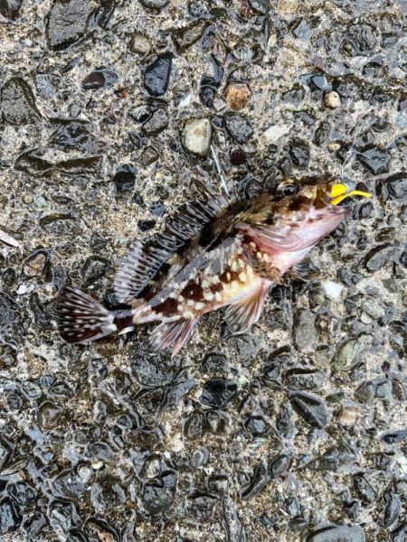 超々短時間ライトゲーム