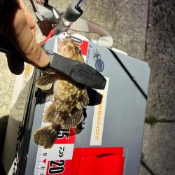 嬉しすぎるあたり！