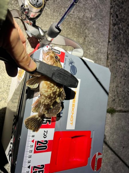 嬉しすぎるあたり！