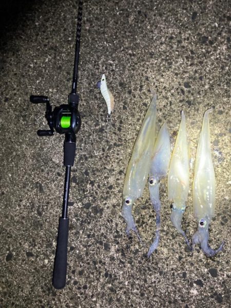 ヤリイカ調査釣行