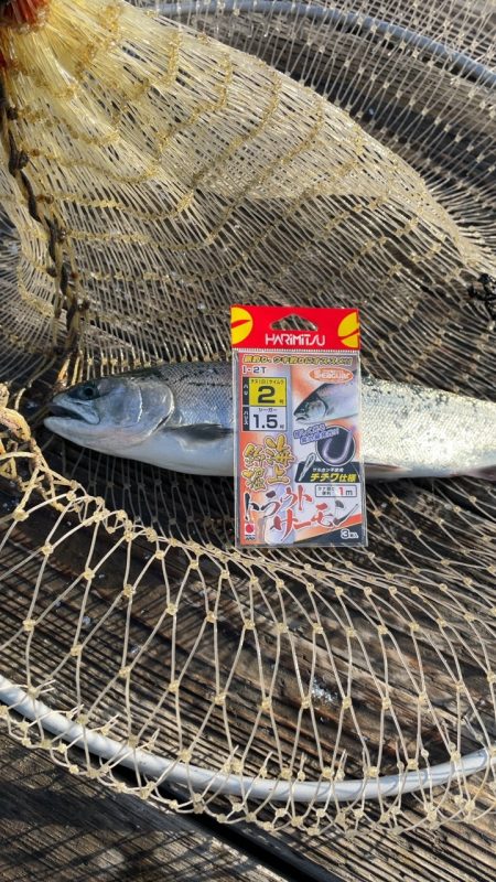 釣堀海恵での釣果