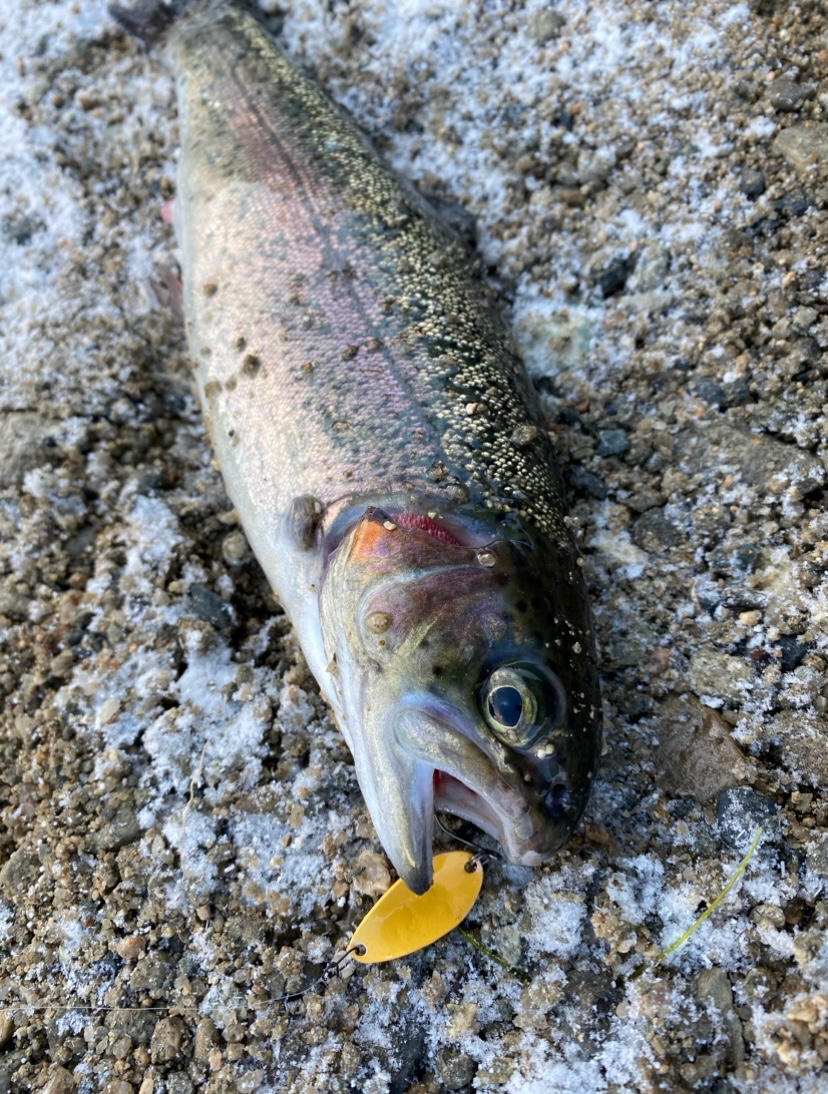 50アップを求めて