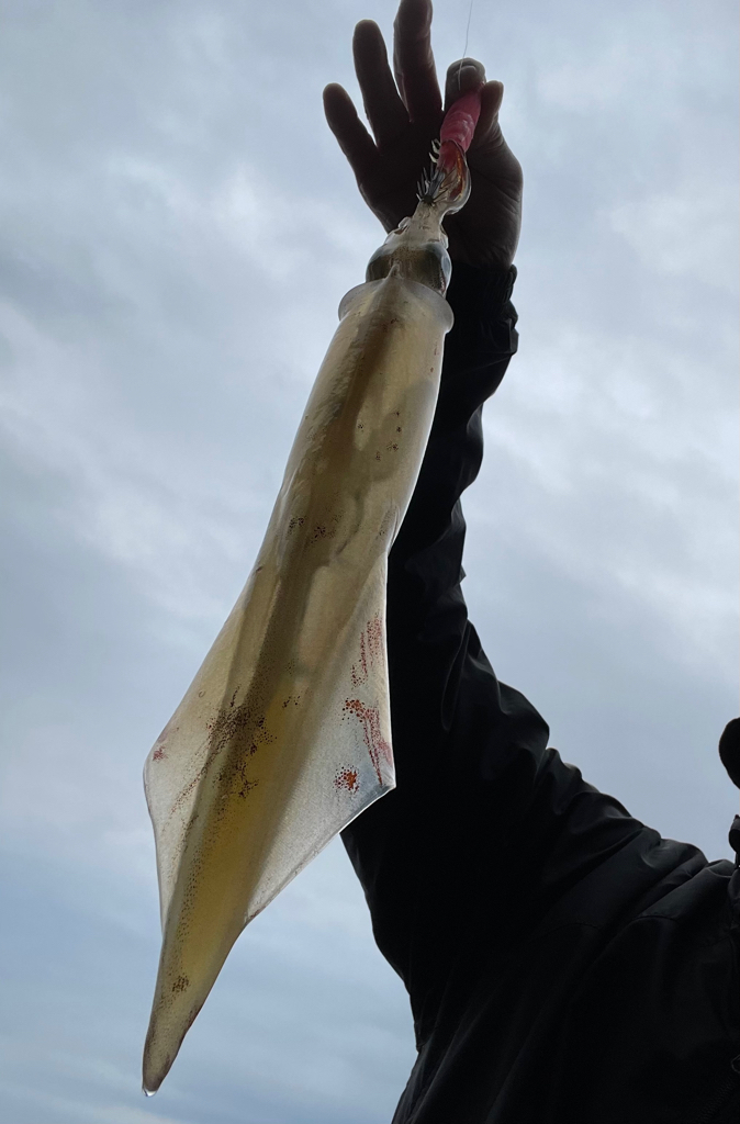 久しぶりのヤリ〜