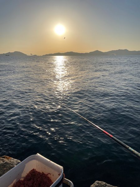 津久見でクロ釣りのはずが😅…