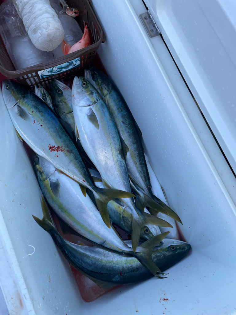 丹後沖青物ジギング