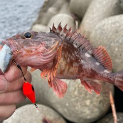 帰ってきた穴釣りNo.5