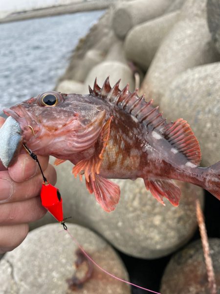 帰ってきた穴釣りNo.5