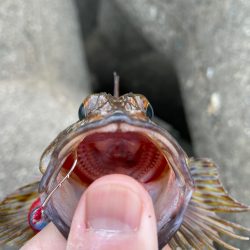 帰ってきた穴釣りNo.4