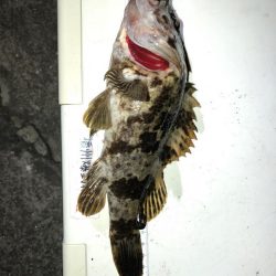 ようやく釣り初め