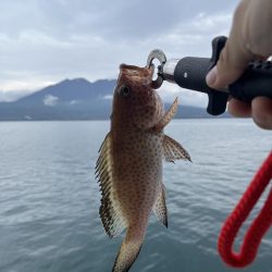 桜島をバックに