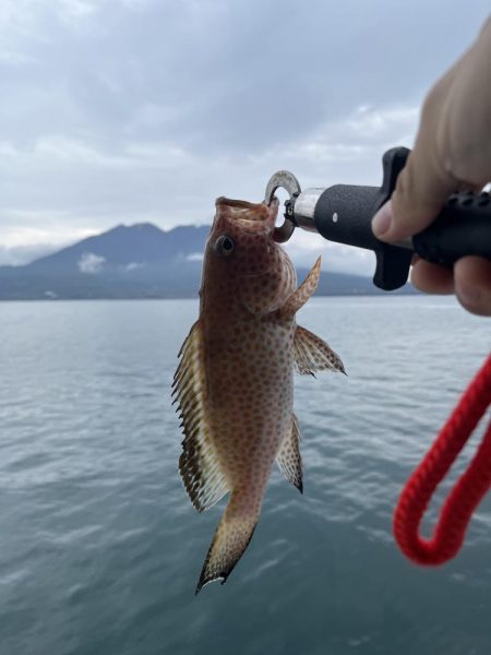 桜島をバックに