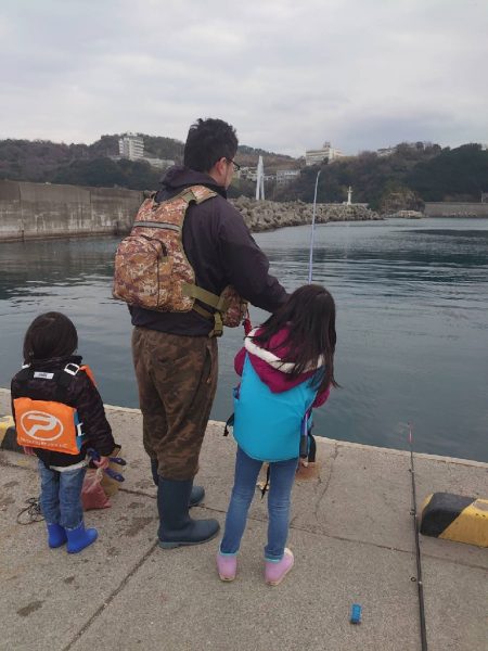 やっぱりマイワシは美味い