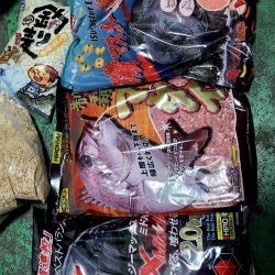 和歌山市江（吉丸渡船）の磯でグレ釣り