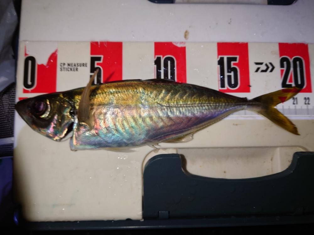 リハビリアジング