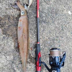 男のデイゲーム