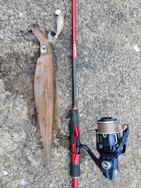 男のデイゲーム