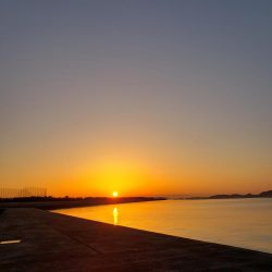 寒ボラのメッカへ行ってみると、、