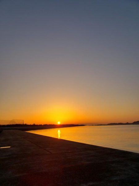 寒ボラのメッカへ行ってみると、、