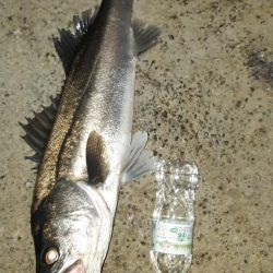 1週間ぶりに行ってきました。